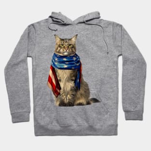 Patriotic Cat 4th Of July Men USA American Flag Hoodie